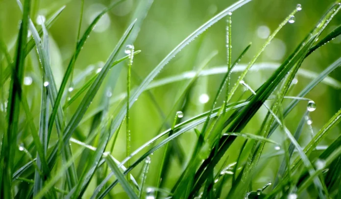 Wisselvallig weer met zon en buien vandaag Wisselvallig weer met zon en buien vandaag