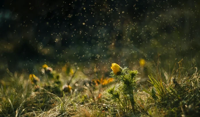 Zachte februaridag met bewolking en motregen Zachte februaridag met bewolking en motregen