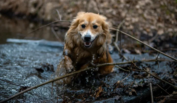 Lenteachtig weer met zon en zachte zuidenwind Lenteachtig weer met zon en zachte zuidenwind
