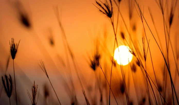 Regionaal zonnige dag met hoge temperaturen Regionaal zonnige dag met hoge temperaturen