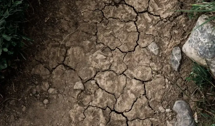 Aanhoudende droogte veroorzaakt watertekort in Nederland Aanhoudende droogte veroorzaakt watertekort in Nederland
